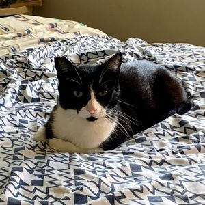 Meet your Posher, Rosie